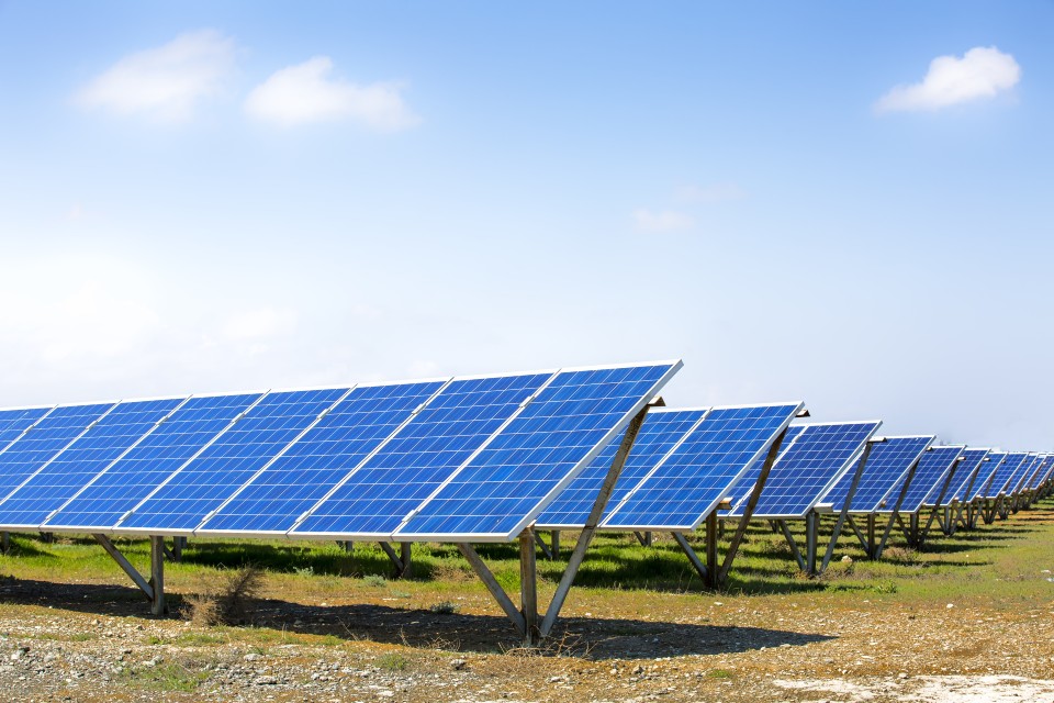 Campo de paneles solares por la mañana